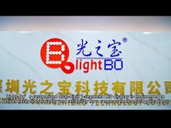 カスタムデュアル 7セグメント LEDディスプレイ